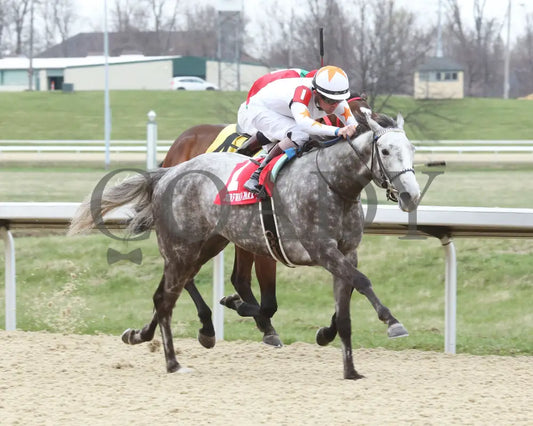Crazy Beautiful - The Latonia Stakes 40Th Running 04-02-22 R07 Tp Finish 02 Turfway Park