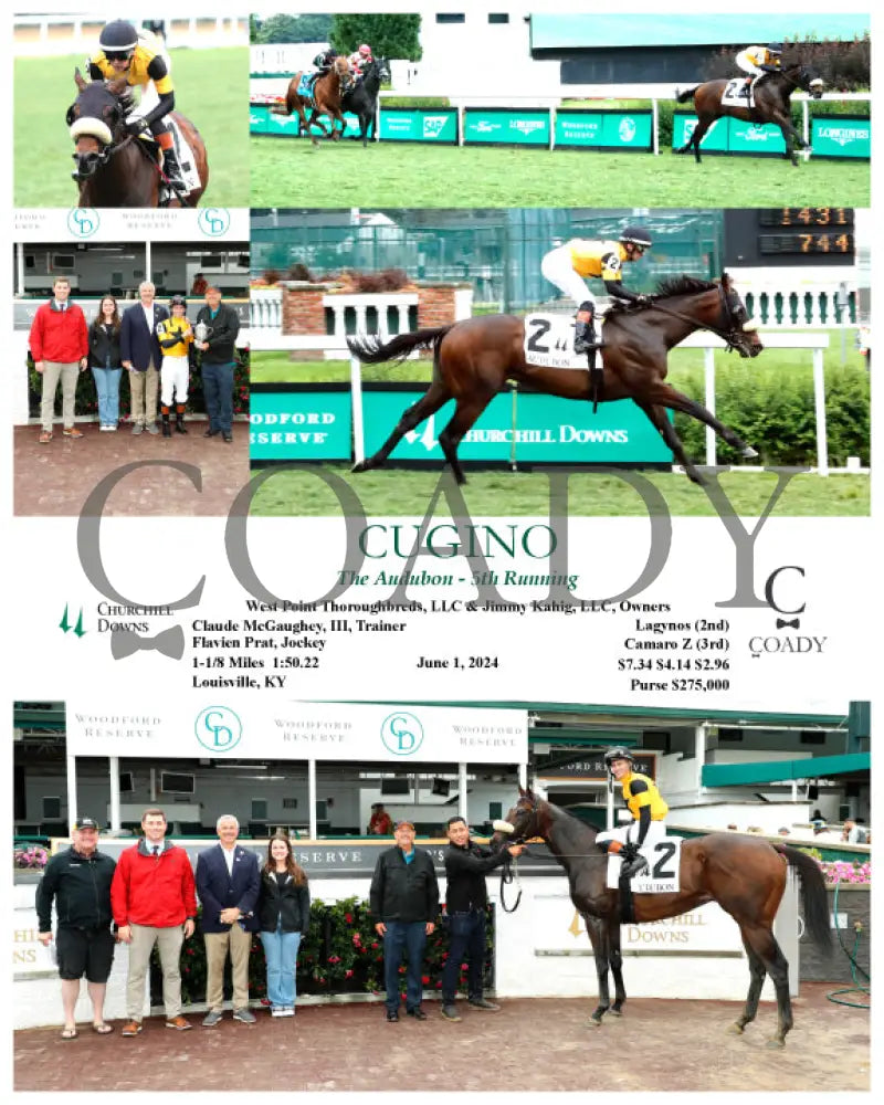 Cugino - The Audubon 5Th Running 06-01-24 R11 Cd Churchill Downs