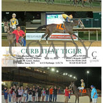 Curb That Tiger - 06-13-24 R08 Ct Hollywood Casino At Charles Town Races