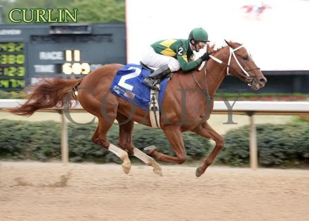 Curlin - The Arkansas Derby Champion Horses