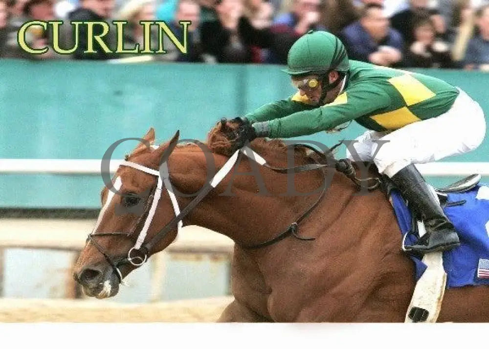 Curlin - The Arkansas Derby Champion Horses
