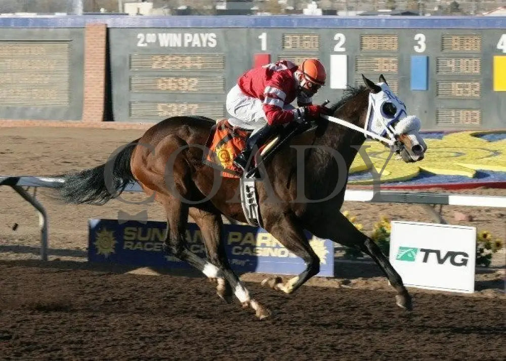 Daddy O. - The New Mexico State University Stakes Sunland Park