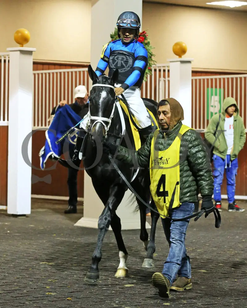 Dana’s Beauty - 121424 Race 04 Tp The My Charmer Paddock 01 Turfway Park