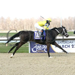 Dana’s Beauty - The Latonia Stakes 42Nd Running 03 - 23 - 24 R09 Turfway Park Finish 01 Sammantha