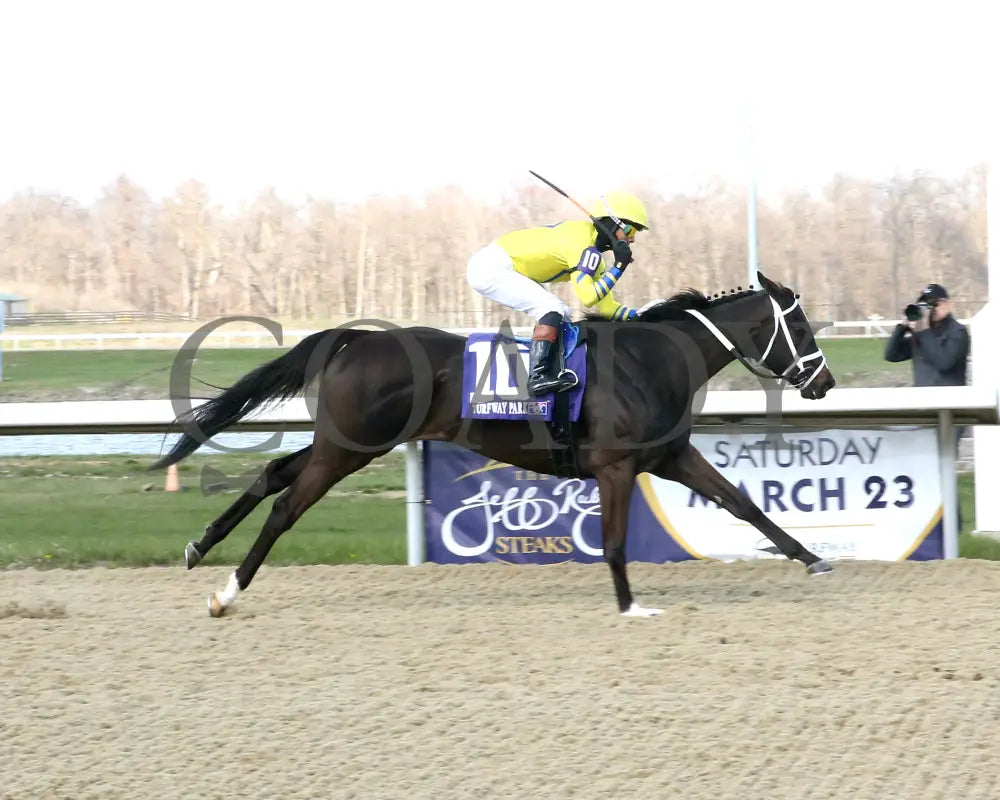 Dana’s Beauty - The Latonia Stakes 42Nd Running 03 - 23 - 24 R09 Turfway Park Finish 01 Sammantha