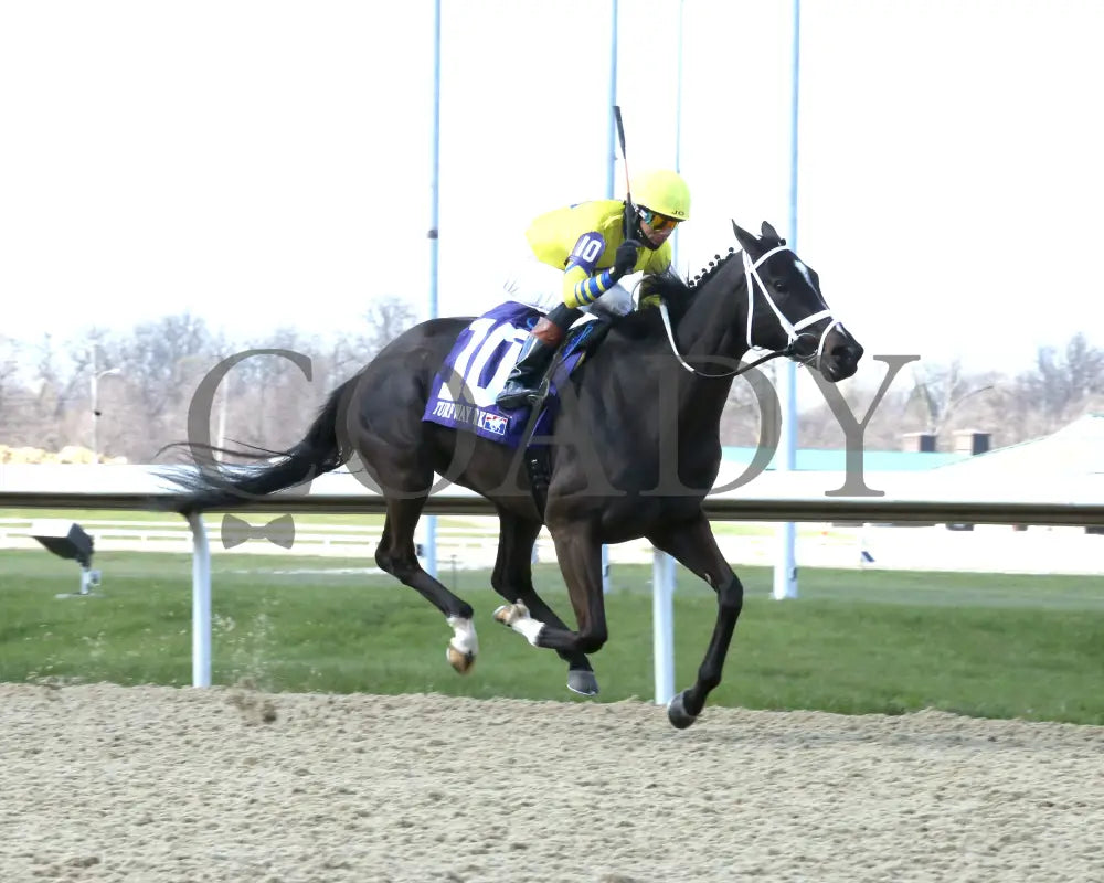 Dana’s Beauty - The Latonia Stakes 42Nd Running 03 - 23 - 24 R09 Turfway Park Finish 02 Paige West