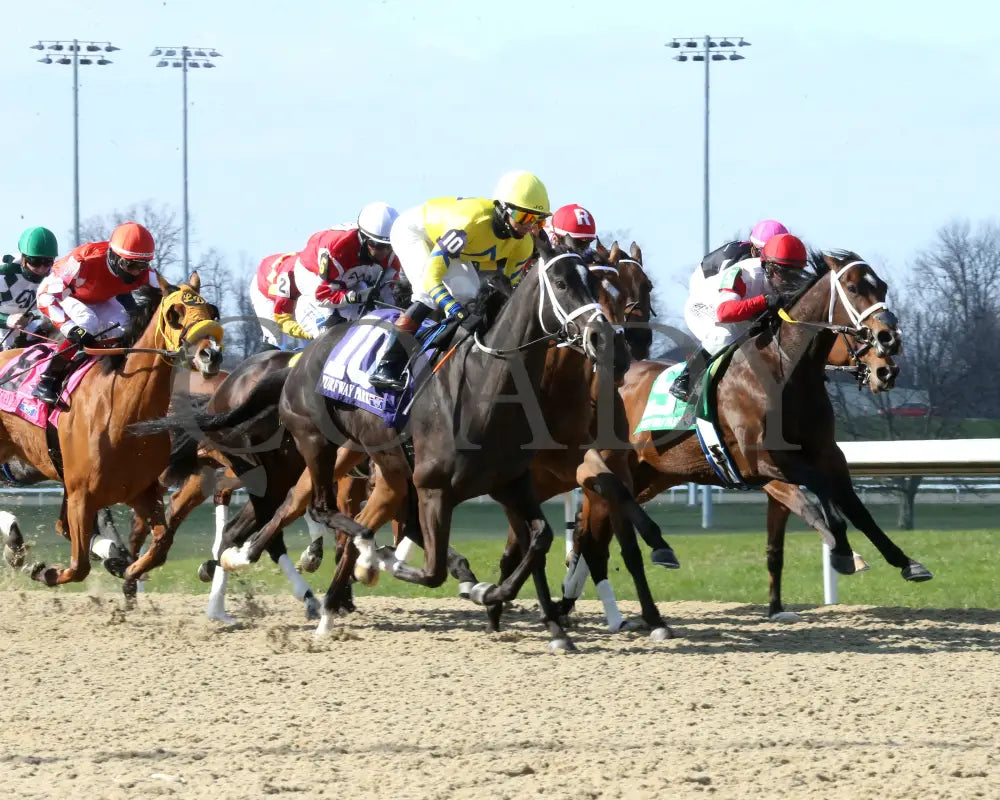 Dana’s Beauty - The Latonia Stakes 42Nd Running 03 - 23 - 24 R09 Turfway Park First Pass 01 Paige