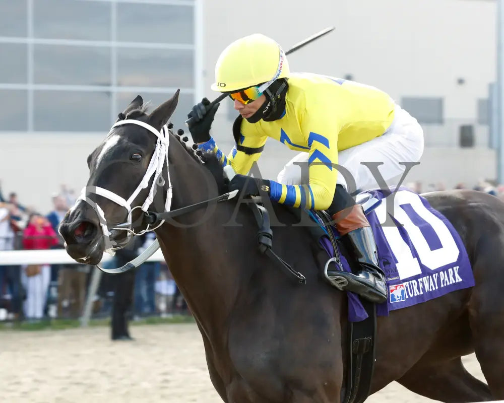 Dana’s Beauty - The Latonia Stakes 42Nd Running 03 - 23 - 24 R09 Turfway Park Inside Finish 01