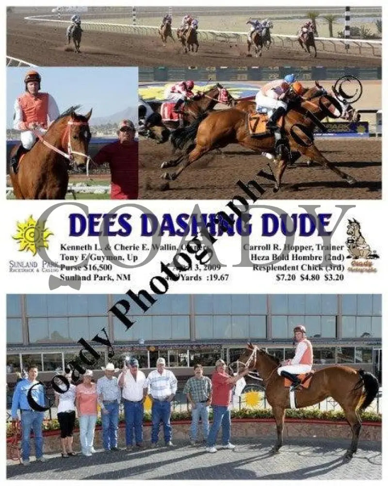 Dees Dashing Dude - 4 3 2009 Sunland Park