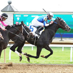 Defining Purpose - The Central Bank Ashland G1 86Th Running 04-07-23 R09 Kee Finish 01 Keeneland