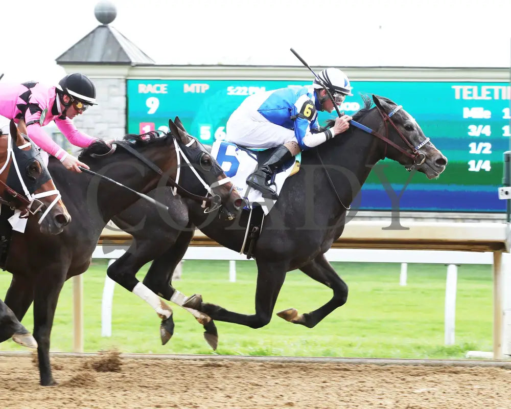 Defining Purpose - The Central Bank Ashland G1 86Th Running 04-07-23 R09 Kee Finish 01 Keeneland