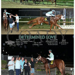 Determined Love - 07-10-24 R07 Mnr Mountaineer Park