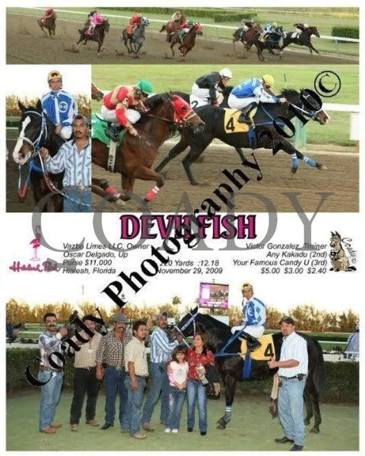 Devilfish - 11/29/2009 Hialeah Park