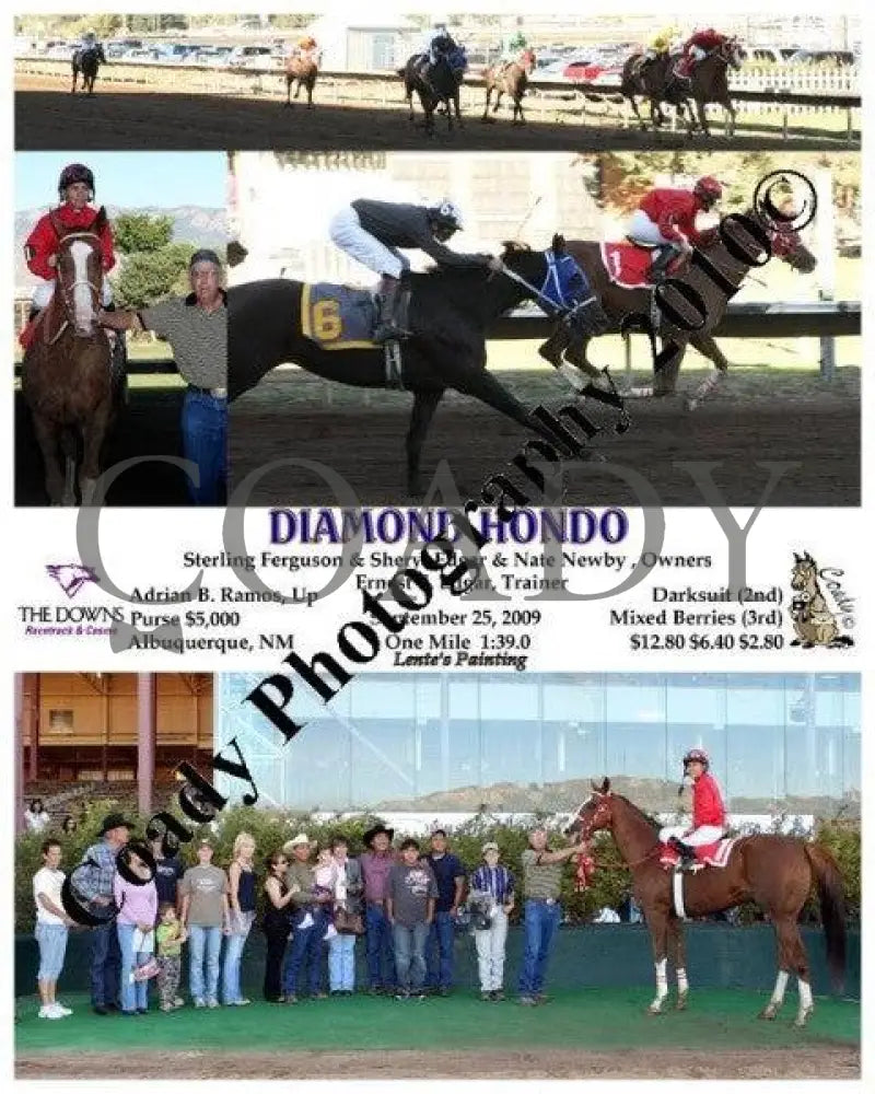 Diamond Hondo - Lente S Painting 9 25 2009 Downs At Albuquerque
