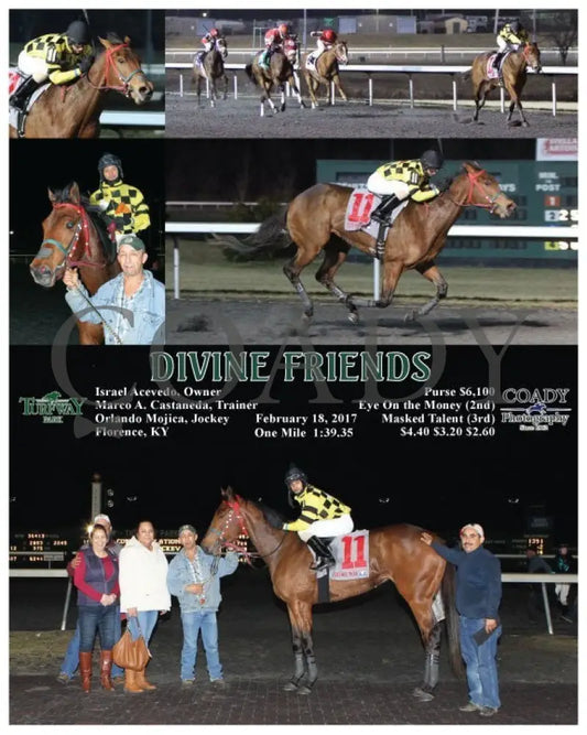 Divine Friends - 021817 Race 09 Tp Turfway Park