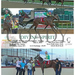 Divine Spirit - 06-06-24 R03 Ct Hollywood Casino At Charles Town Races