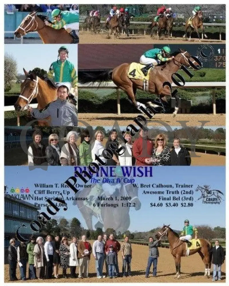 Divine Wish - The Diva Iv Cup 3 1 2009 Oaklawn Park