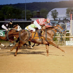 Do You Like That - 082420 Race 04 Mnr Finish 01 Mountaineer Park