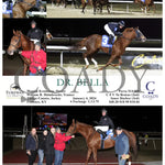 Dr. Bella - 01-04-24 R02 Tp Turfway Park