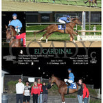 El Cardinal - 06-11-24 R08 Mnr Mountaineer Park