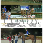 Emberly - 06-13-24 R06 Ct Hollywood Casino At Charles Town Races