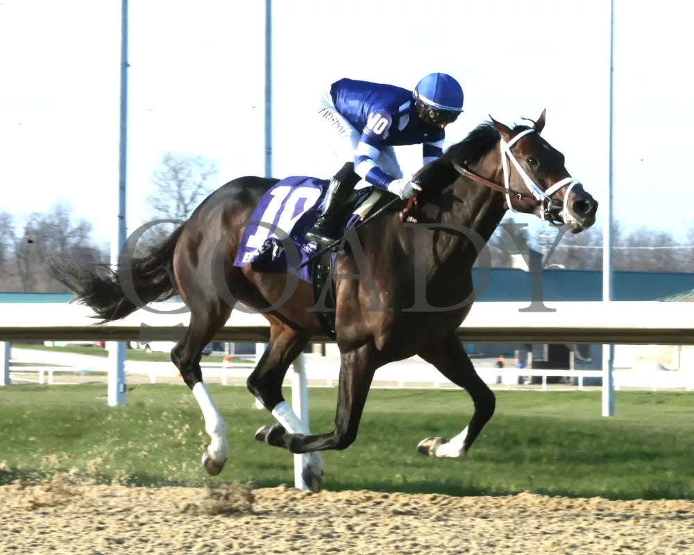 Endlessly - Jeff Ruby Steaks G3 53Rd Running 03 - 23 - 24 R12 Turfway Park Finish 02 Paige West