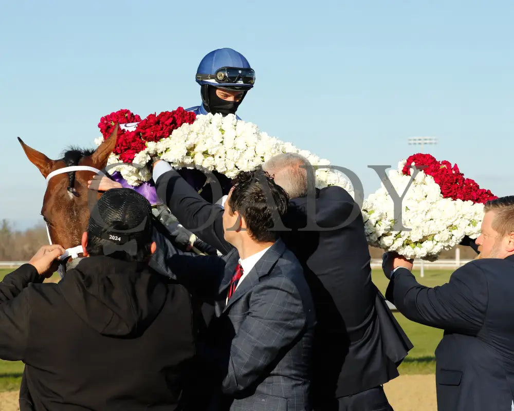 Endlessly - Jeff Ruby Steaks G3 53Rd Running 03 - 23 - 24 R12 Turfway Park Flowers 01 Kurtis Coady