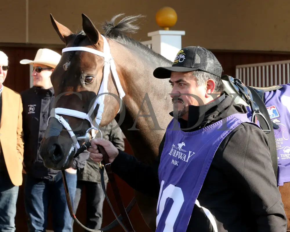 Endlessly - Jeff Ruby Steaks G3 53Rd Running 03 - 23 - 24 R12 Turfway Park Paddock 01 Paige West