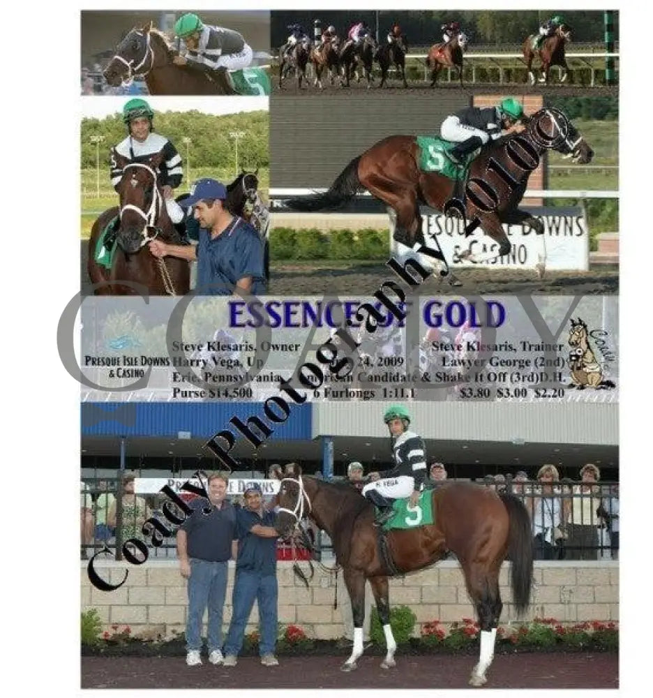Essence Of Gold - 7 24 2009 Presque Isle Downs