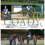 Essential Magic - 06-06-24 R08 Ct Hollywood Casino At Charles Town Races