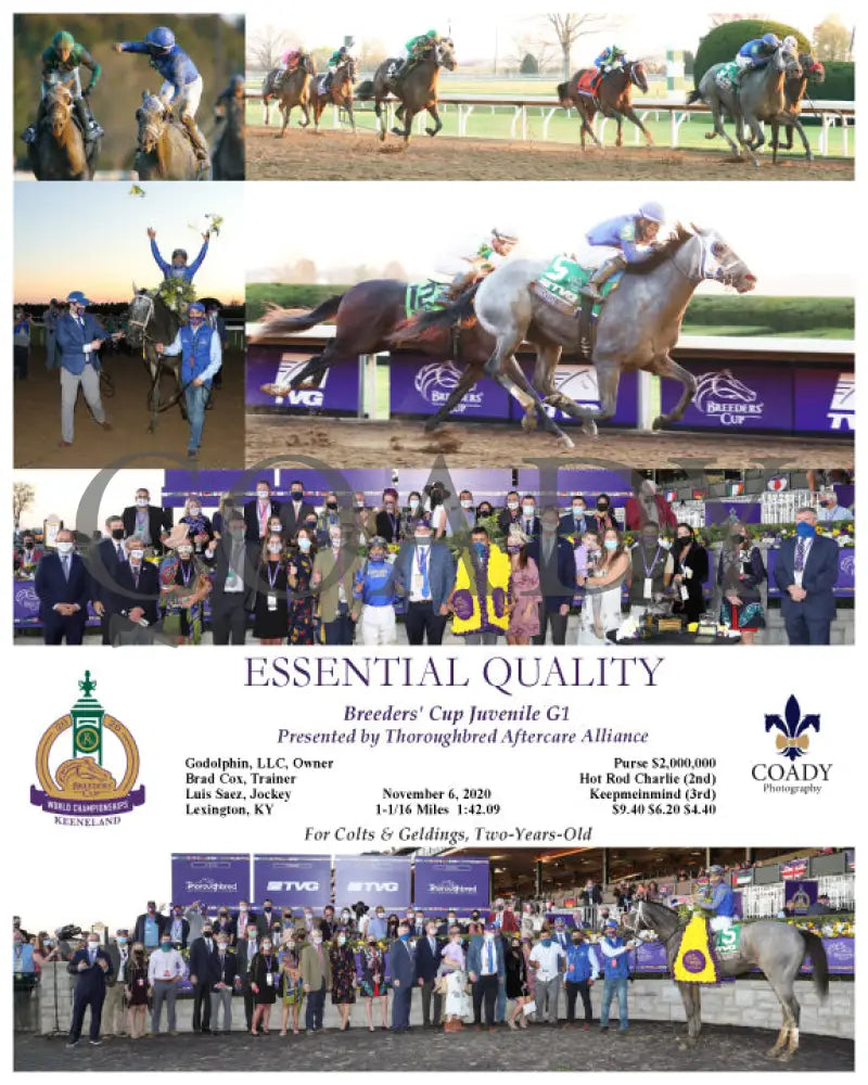 Essential Quality - Breeders’ Cup Juvenile G1 Presented By Thoroughbred Aftercare Alliance