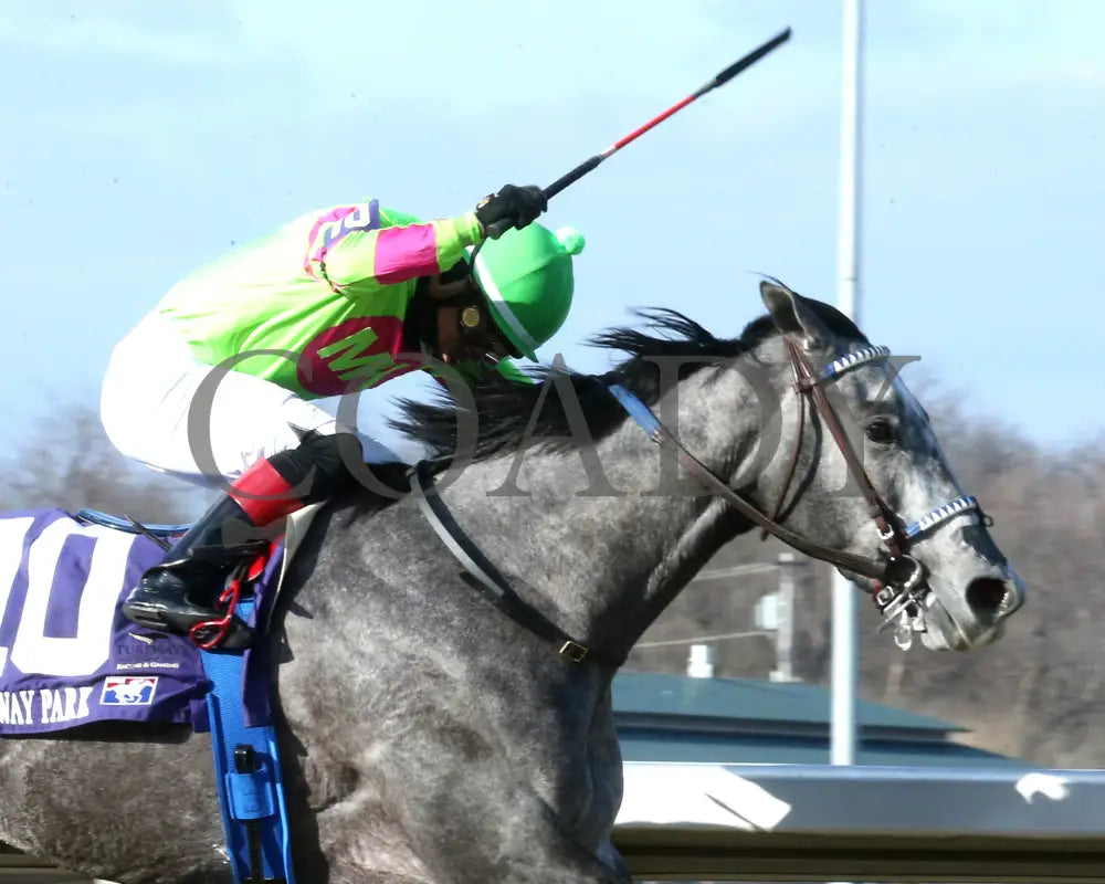 Everland - The Bourbonette Oaks 42Nd Running 03 - 23 - 24 R11 Turfway Park Celebration 01 Paige West