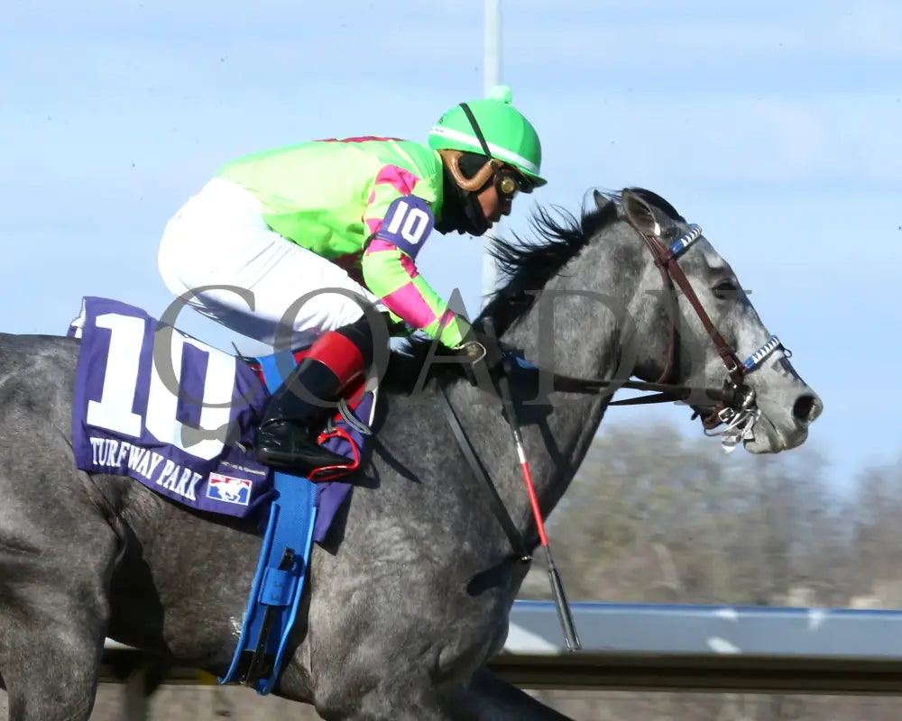 Everland - The Bourbonette Oaks 42Nd Running 03 - 23 - 24 R11 Turfway Park Finish 03 Paige West