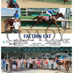 Faction Cat - 061117 Race 10 Cd Churchill Downs