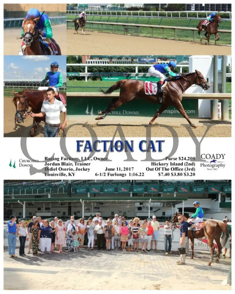 Faction Cat - 061117 Race 10 Cd Churchill Downs