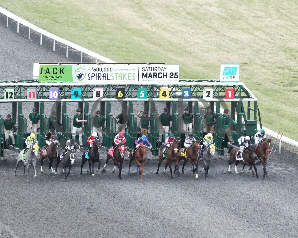 Fast And Accurate - 032517 Race 10 Tp Start Turfway Park