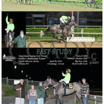 Fast Study - 04-30-24 R06 Mnr Mountaineer Park