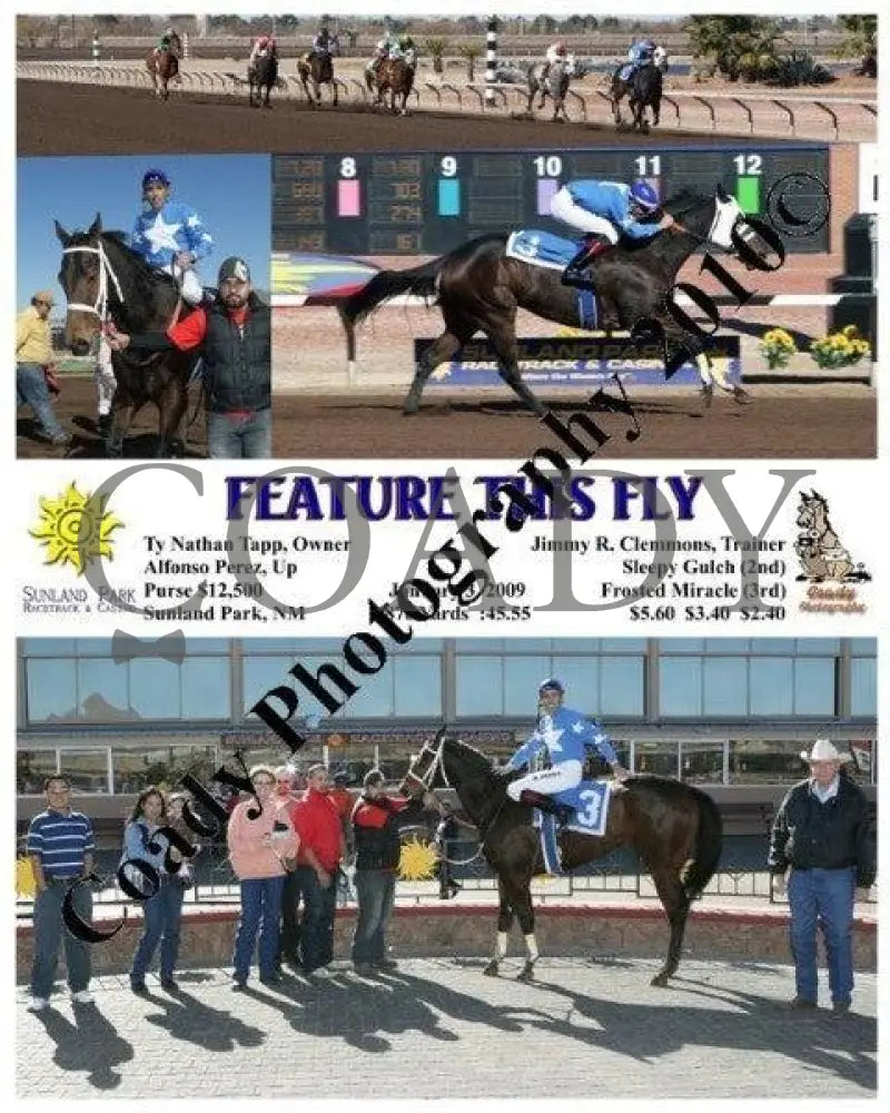 Feature This Fly - 1 3 2009 Sunland Park
