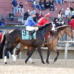 First Mission - The Essex Handicap G3 76 Running 03 - 23 - 24 R09 Op Post Parade 03 Oaklawn Park