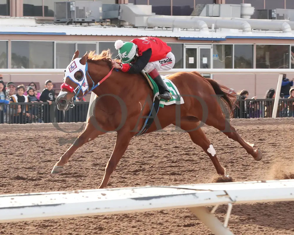 Flash Bak - 22Nd Running Of The Championship At Sunland Park 01-07-24 R07 Inside Finish