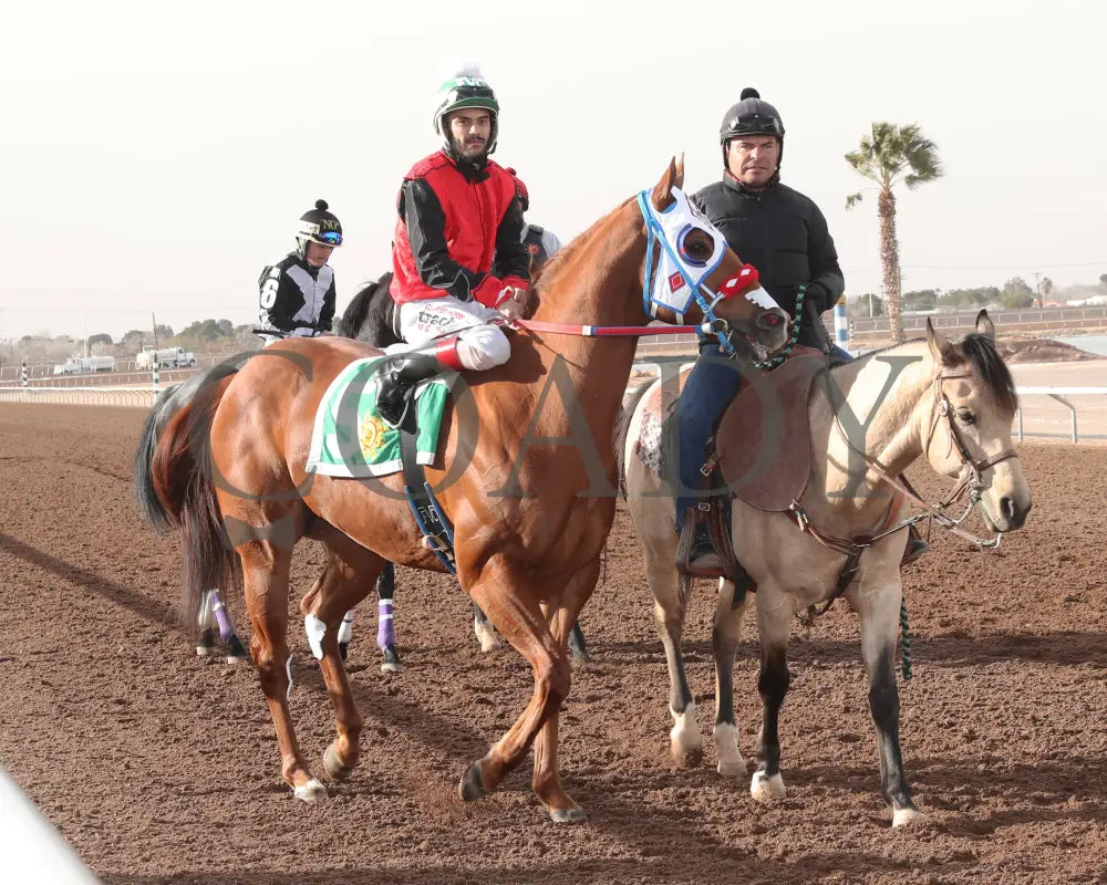 Flash Bak - 22Nd Running Of The Championship At Sunland Park 01-07-24 R07 Post Parade