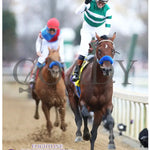 Flightline - Longines Breeders’ Cup Classic G1 39Th Running 11-05-22 R11 Kee Action 08 Keeneland