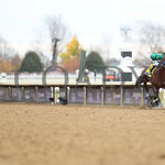 Flightline - Longines Breeders’ Cup Classic G1 39Th Running 11-05-22 R11 Kee Checking The Rear