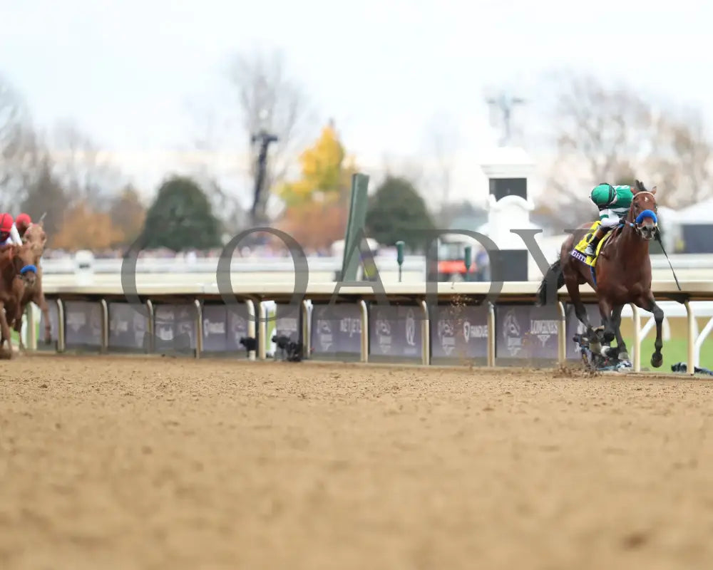 Flightline - Longines Breeders’ Cup Classic G1 39Th Running 11-05-22 R11 Kee Checking The Rear