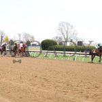 Flightline - Longines Breeders’ Cup Classic G1 39Th Running 11-05-22 R11 Kee Up Stretch 01 Keeneland