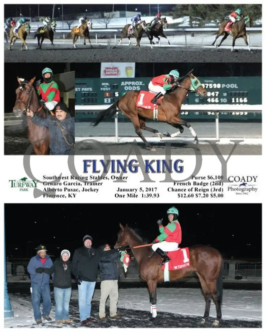 Flying King - 010517 Race 05 Tp Turfway Park