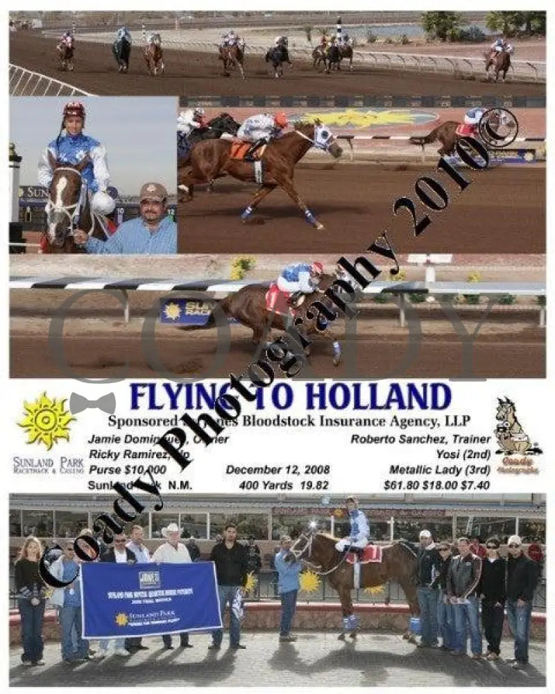 Flying To Holland - Sponsored By Jones Bloodstoc Sunland Park