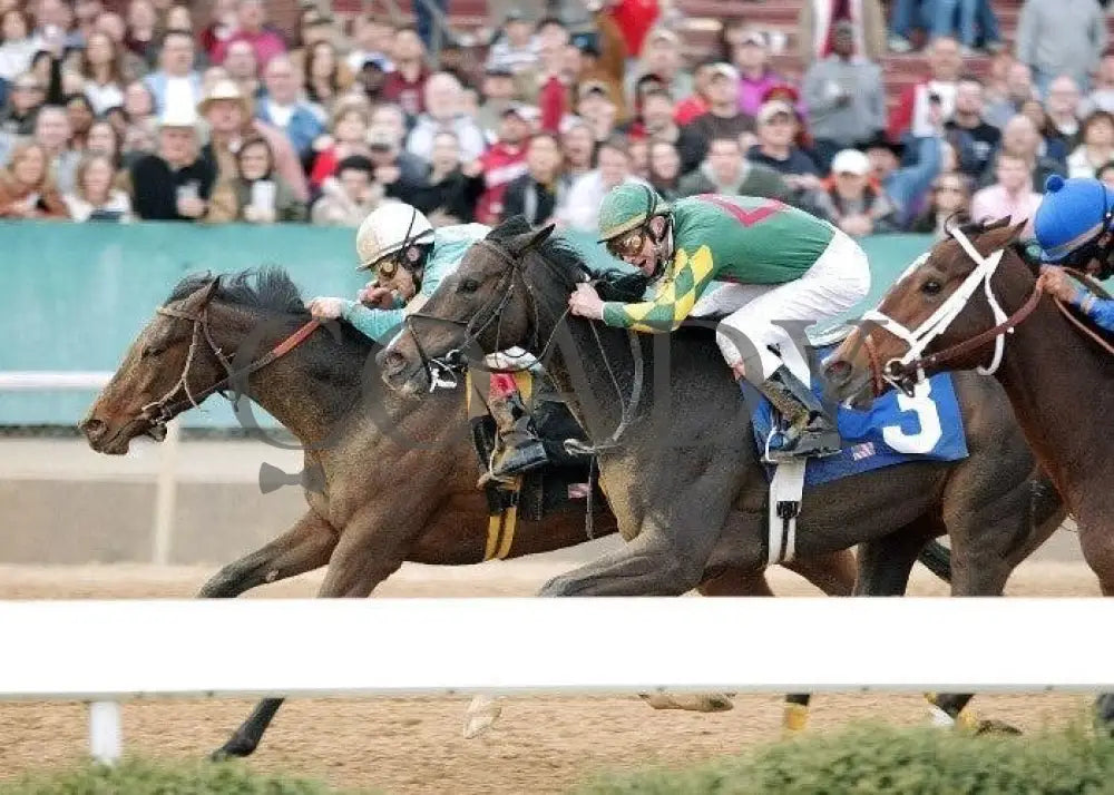 French Kiss - The Pippin Stakes Inside Finish Oaklawn Park