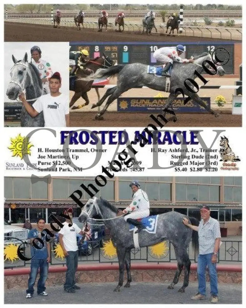 Frosted Miracle - 3 6 2009 Sunland Park