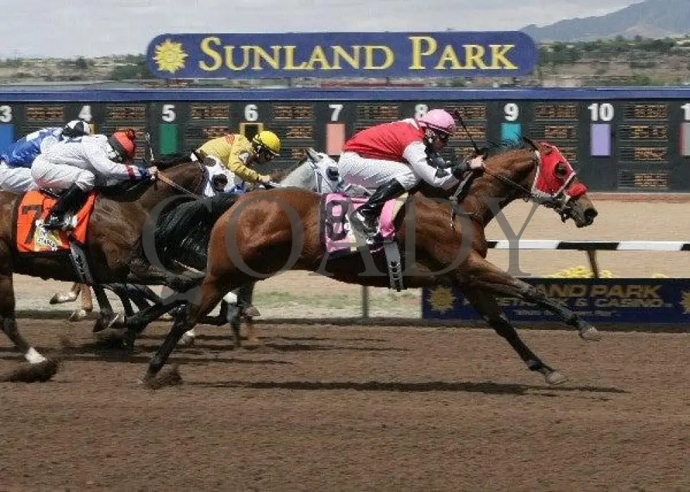 Gbh Steppin Johnny - New Mexican Spring Futurity Sunland Park